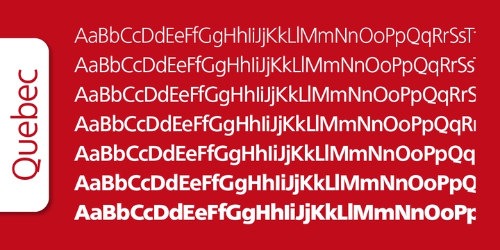 Quebec Serial Medium Italic Font preview